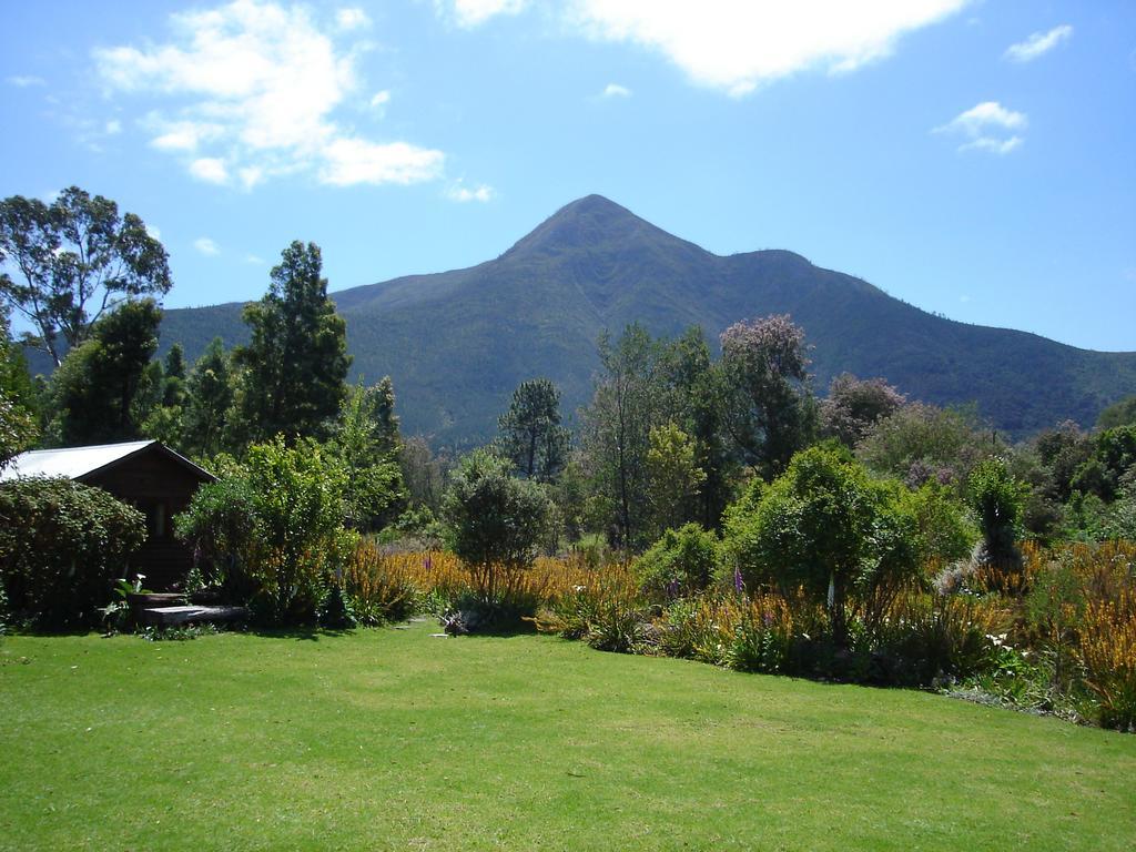 Pear Tree Cottage Stormsrivier Ruang foto