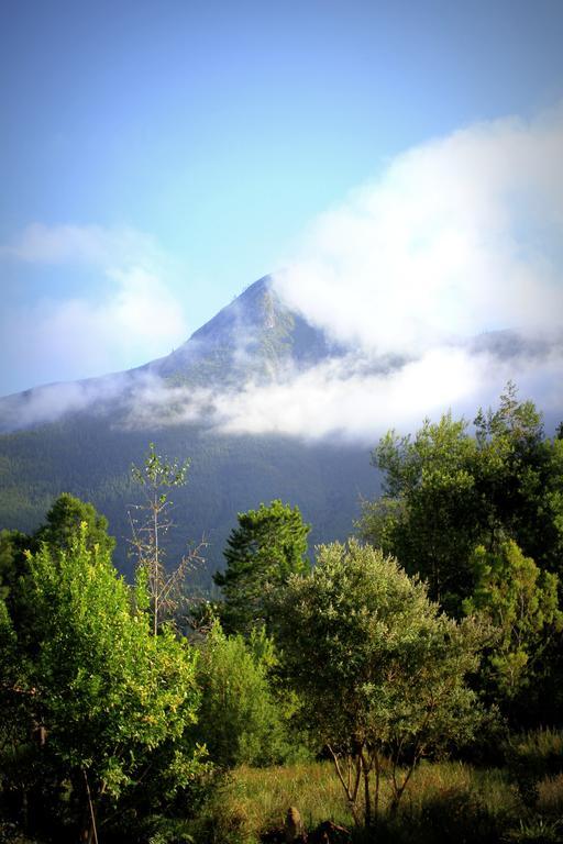 Pear Tree Cottage Stormsrivier Ruang foto