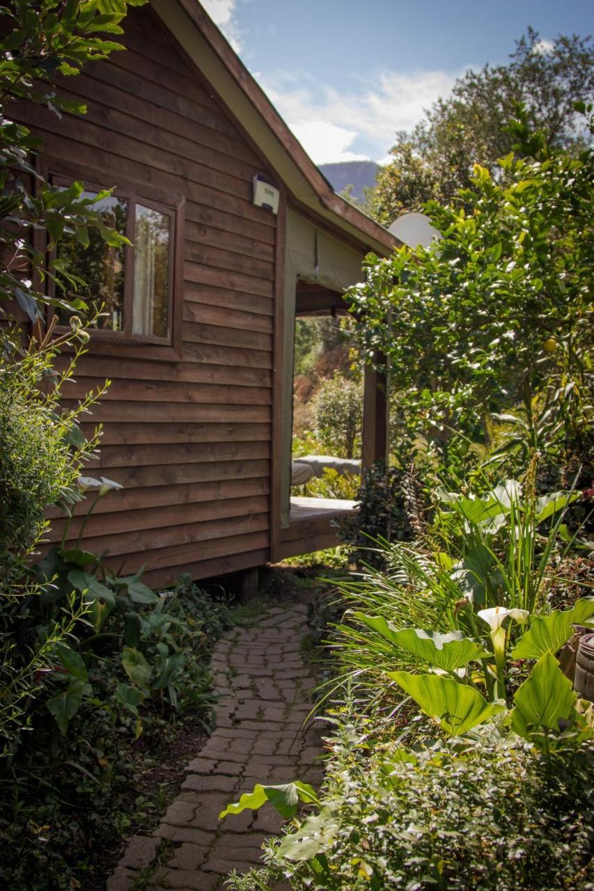 Pear Tree Cottage Stormsrivier Bagian luar foto