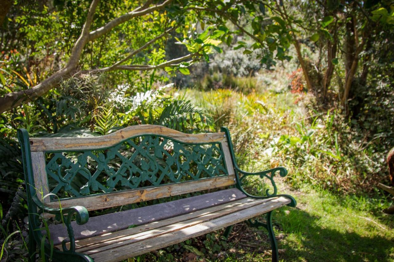 Pear Tree Cottage Stormsrivier Bagian luar foto